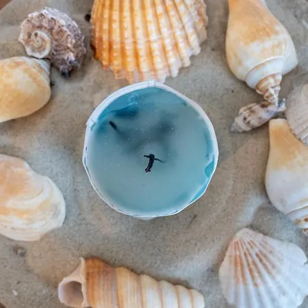 Boehler Apartamento *